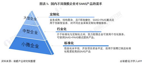2021年中國SaaS行業(yè)經(jīng)營策略演變分析 客戶成功理念引領(lǐng)產(chǎn)品突圍